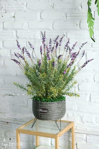 Chậu mây lavender trang trí nhà đẹp Landecor (75cm) - CC545