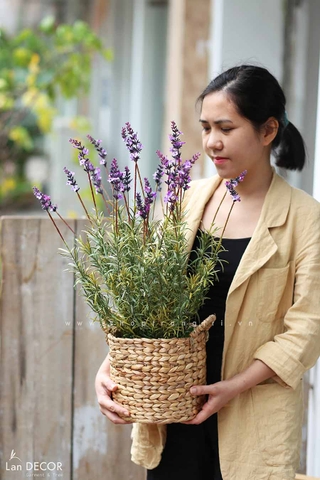 Giỏ hoa lavender phong cách vintage Lan Decor - CC540