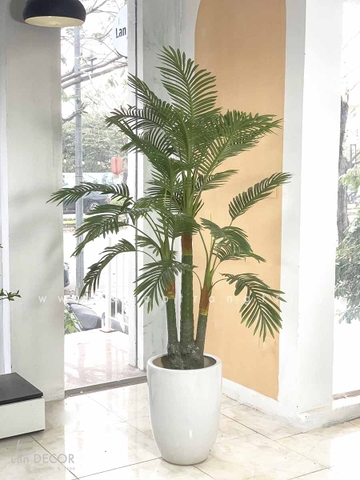 Cây dừa cảnh trang trí nhà đẹp Landecor ( 165cm) - LC3062