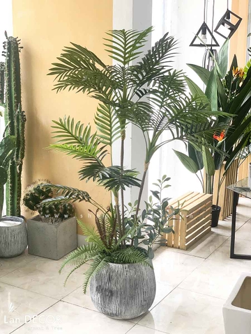 CHẬU CÂY DỪA TRANG TRÍ TIỂU CẢNH NHÀ ĐẸP LANDECOR (140cm) - LC2956-1 mix