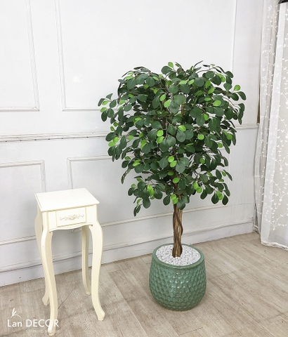 Cây tâm phúc trang trí nhà đẹp Lan Decor (125cm) - LC2240