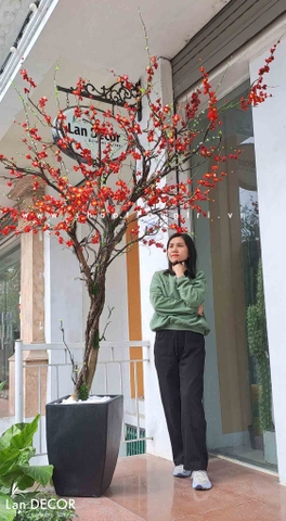 Cây đào đông trang trí ngày tết LanDecor cao 2,5m - CC570