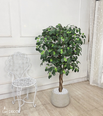 Cây tâm phúc trang trí nhà đẹp Lan Decor (125cm) - LC2240