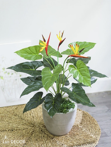 Cây thiên điểu phong cách nhiệt đới Lan Decor 75cm - LC2247