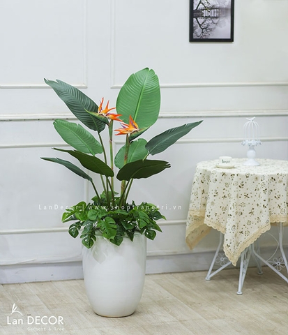 Cây hoa Thiên Điểu trang trí nội thất sang trọng LanDecor (120cm) - LC3018-1 Mix