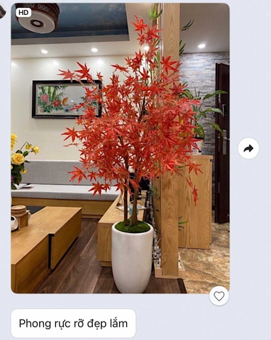 Chậu cây phong lá đỏ trang trí không gian hiện đại sang trọng (160cm) - CC096
