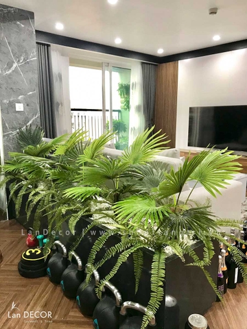 Cây cọ trang trí phong cách nhiệt đới hiện đại Lan Decor (70cm) - LC2895
