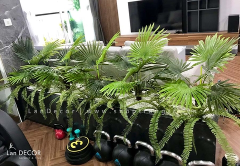 Cây cọ trang trí phong cách nhiệt đới hiện đại Lan Decor (70cm) - LC2895