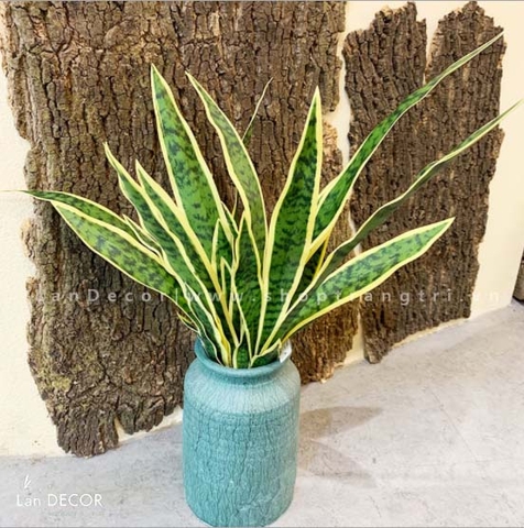 Cành lá giả - Cành lưỡi hổ 80cm (4 lá) trang trí, tạo hình tự nhiên  - HC949