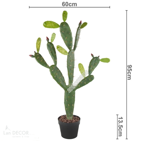 CHẬU CÂY XƯƠNG RỒNG TAI THỎ TRANG TRÍ ĐẸP LAN DECOR (95cm) - HC1050