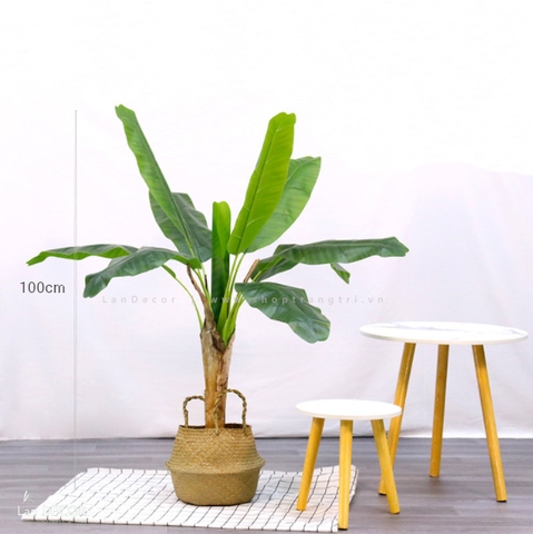 CÂY CHUỐI ĐƠN TRANG TRÍ LAN DECOR - HC1040
