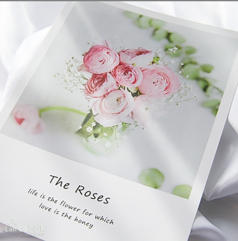 Bìa tạp chí chụp hình phông nền sản phẩm Landecor - DC025