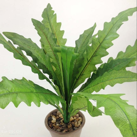 Cành dương xỉ tổ yến trang trí LanDecor (50cm) - HC1118