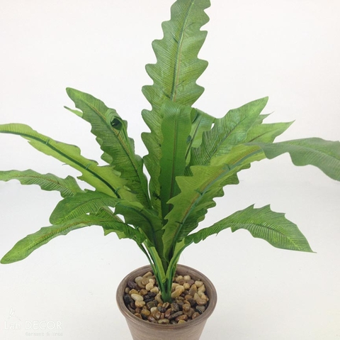 Cành dương xỉ tổ yến trang trí LanDecor (50cm) - HC1118