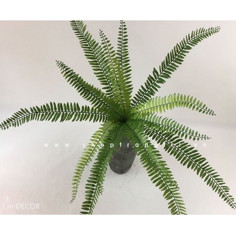 Cành dương xỉ cổ đại (65cm) - HC986