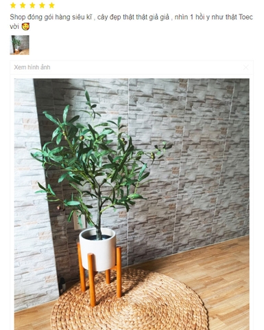 CÂY OLIU GIẢ TRANG TRÍ NHÀ HIỆN ĐẠI (85cm) - LC3043