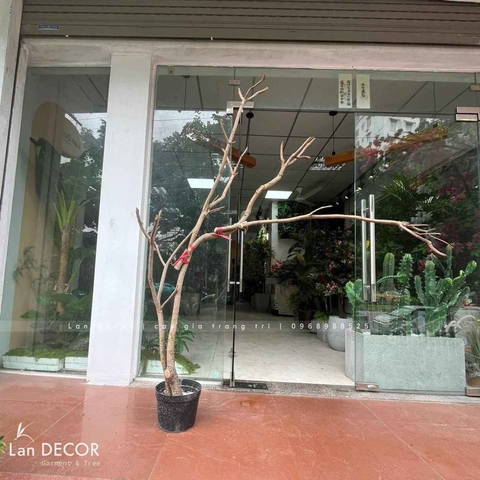 Thân cây giả- Thân cây Linh Sơn trang trí tiểu cảnh