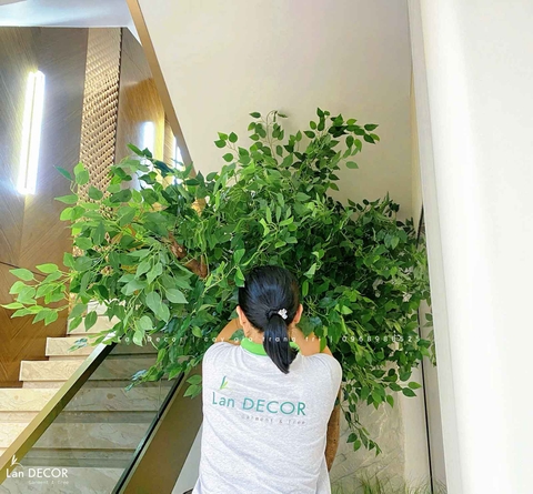 Tiểu Cảnh Cây Giả- Công Trình Tiểu Cảnh Cây Lá Xanh Thiết Kế Căn Hộ Cao Cấp