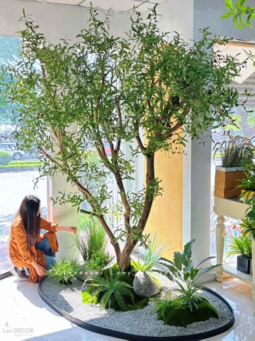 Tiểu Cảnh Cây Giả- Thiết Kế Tiểu Cảnh Cây OLive Giả Trang Trí Không Gian Rộng Ấn Tượng (280X145X285CM) - RC119