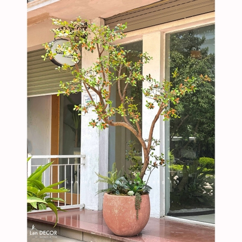 Cây Giả Thiết Kế - Cây Lá Đỏ Giả Dáng Huyền Thiết Kế Không Gian Ấn Tượng (220cm)- CC1384
