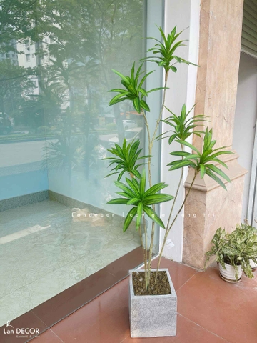 Cây Giả Trang Trí- Cây Thiết Mộc Lan Giả Decor Không Gian Độc Đáo (160cm)- LC3737-1-XANH
