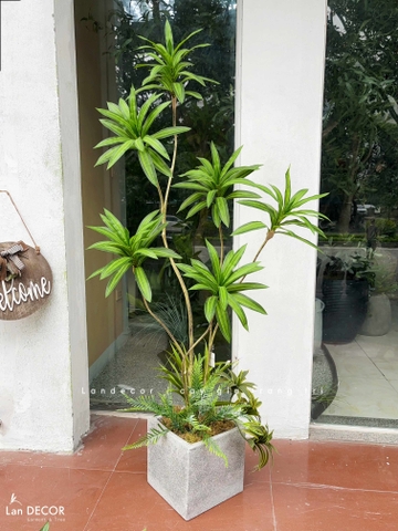 Cây Giả Trang Trí- Cây Thiết Mộc Lan Giả Decor Không Gian Độc Đáo (160cm)- LC3737-1-XANH