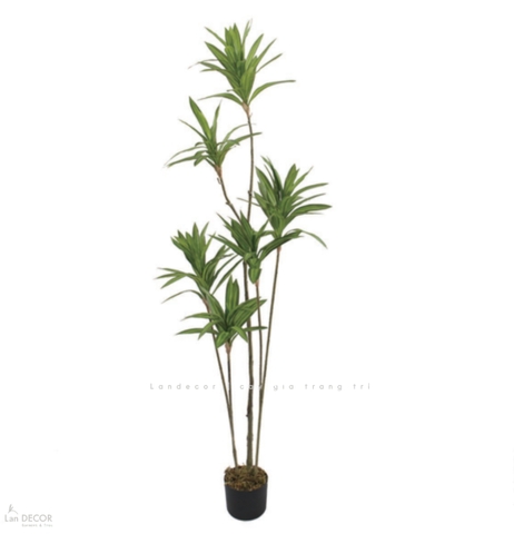 Cây Giả Trang Trí- Cây Thiết Mộc Lan Giả Decor Không Gian Độc Đáo (160cm)- LC3737-1-XANH