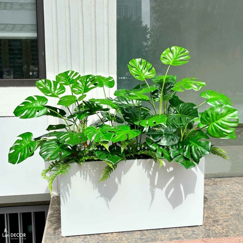 Bồn Cây Giả- Bồn Monstera Trang Trí Tiểu Cảnh Xanh Tươi (130X65X115cm)- BC226