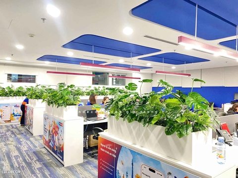 Tiểu Cảnh Văn phòng- Bồn Cành Lá Monstera Thiết Kế Lan Decor, Kiến Tạo Không Gian Xanh Tươi Mới (56x26x20cm)- BC209-SG