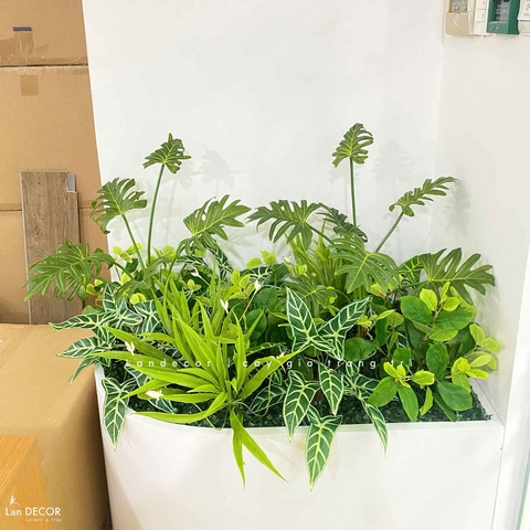 Tiểu Cảnh Cây Giả- Mẫu Tiểu Cảnh Cây Cảnh Giả Trang Trí Văn Phòng Xanh- CC1181-SG