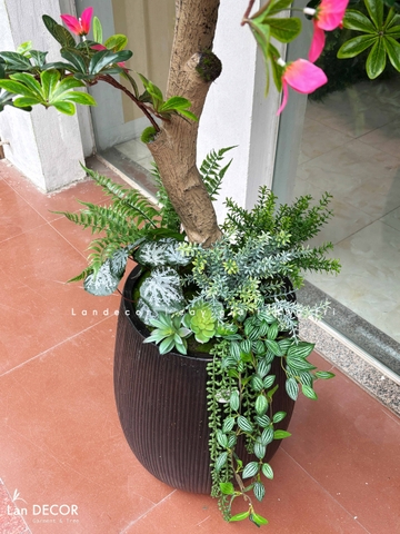 Cây Giả Tiểu Cảnh - Cây Đỗ Quyên Giả Trang Trí Không Gian Tạo Điểm Nhấn