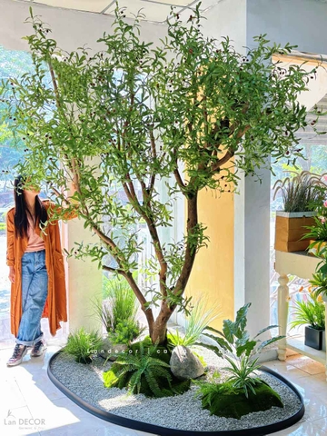 Tiểu Cảnh Cây Giả- Thiết Kế Tiểu Cảnh Cây OLive Giả Trang Trí Không Gian Rộng Ấn Tượng (280X145X285CM) - RC119