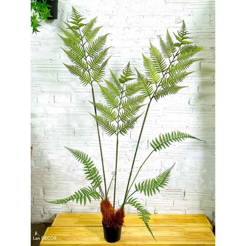 Dương Xỉ Giả Trang Trí- Dương Xỉ Culi Tiểu Cảnh Thiết Kế Không Gian Xanh (155cm)- CC1122
