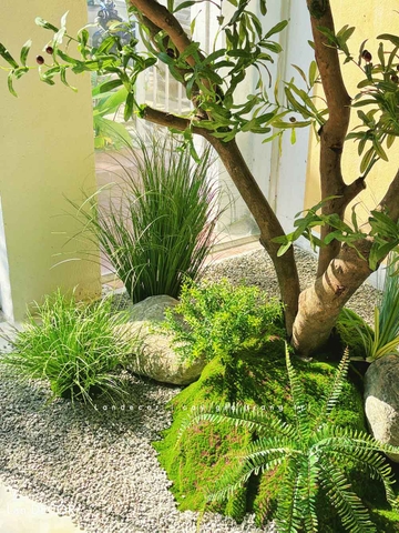 Tiểu Cảnh Cây Giả- Thiết Kế Tiểu Cảnh Cây OLive Giả Trang Trí Không Gian Rộng Ấn Tượng (280X145X285CM) - RC119