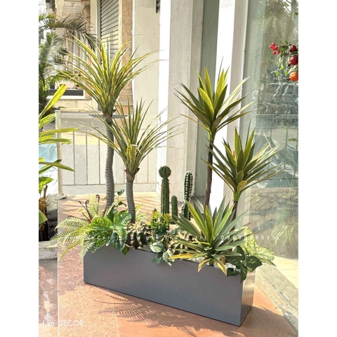 Bồn Cây Tiểu Cảnh- Bồn Xương Rồng Phong Cách Sa Mạc Ấn Tượng - BC147