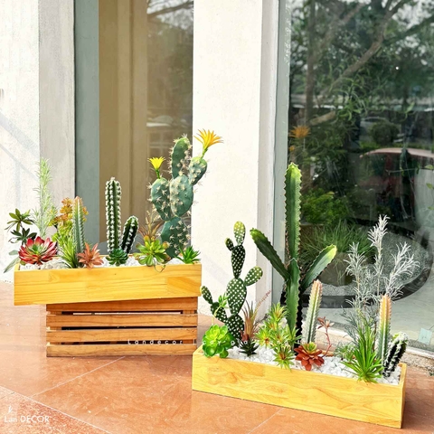 Xương Rồng Giả- Bồn Xương Rồng Giả Để Bàn Thiết Kế Trang Trí Cửa Hiệu (60x20x60cm)- BC236