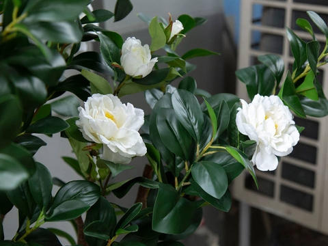 Hoa Trà Giả- Cây Trà Trắng Decor Nội Thất Thanh Lịch, Hiện Đại - CC072