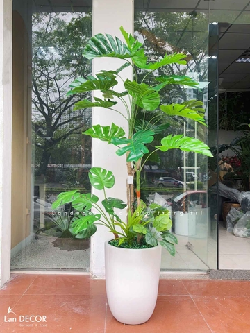 Cây Giả Decor- Cây Trầu Bà Nam Mỹ Thiết Kế Nội Thất Hiện Đại, Độc Đáo (155cm)- LC3535