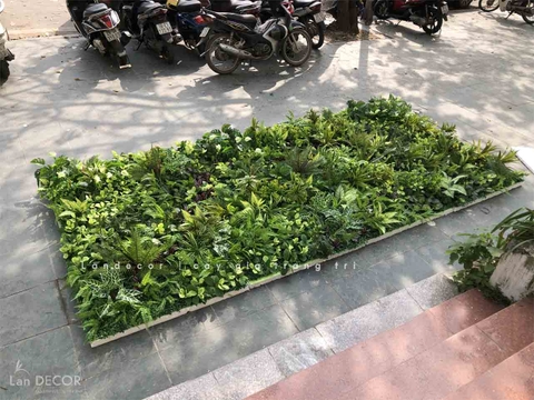 CÔNG TRÌNH TƯỜNG CÂY SHOWROOM LÊ VĂN LƯƠNG- TC311