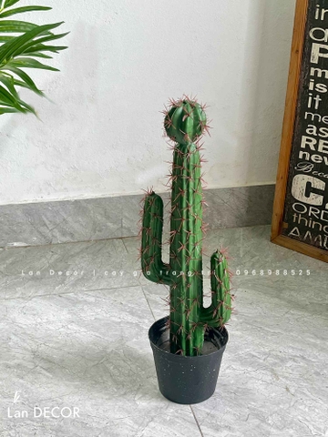 Xương Rồng Giả Decor- Xương Rồng Giả Trang Trí Tiểu Cảnh (59cm)- LC3039
