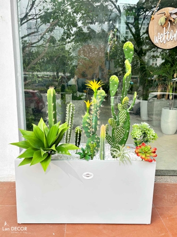 Bồn Tiểu Cảnh Thiết Kế- Bồn Xương Rồng Giả Decor Không Gian Độc Đáo (80X30X110CM)- BC234