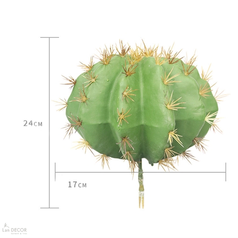 Xương Rồng Giả- Xương Rồng Kim Hổ Giả Decor Bồn Tiểu Cảnh (D=17cm, 22cm)- HC1335