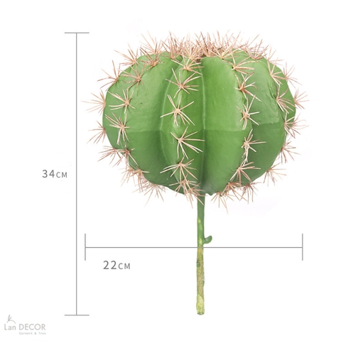 Xương Rồng Giả- Xương Rồng Kim Hổ Giả Decor Bồn Tiểu Cảnh (D=17cm, 22cm)- HC1335