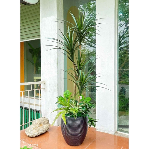 Cây Giả Decor- Cây Yucca Giả Decor Không Gian Phong Cách Sa Mạc Ấn Tượng (165cm)- LC3791