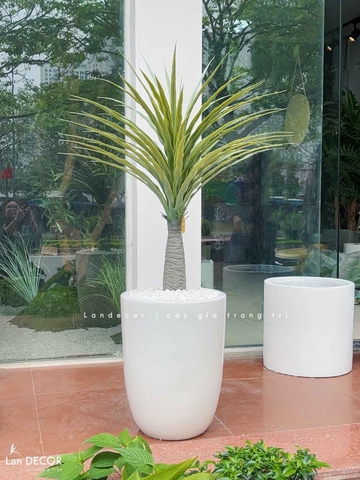 Cây Giả - Chậu Cây Yucca Giả Trang Trí (85cm)- LC3356