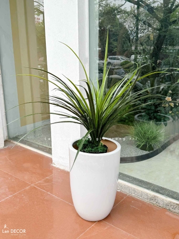 Cây Giả Decor - Cây Yucca Giả Trang Trí Nội Thất (80cm)- LC3348
