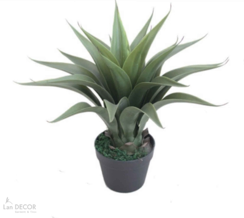Cây Giả Trang Trí- Cây Yucca Giả Decor Tiểu Cảnh (60cm)- LC3073