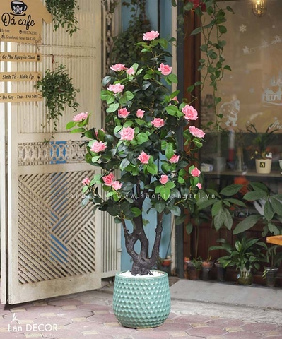 CÂY HOA HỒNG TRANG TRÍ NHÀ SANG TRỌNG (165cm) - LC2764