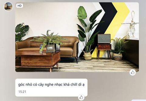 GIỎ CÂY DƯƠNG XỈ CỔ ĐẠI ĐỂ BÀN TRANG TRÍ LAN DECOR - GC115