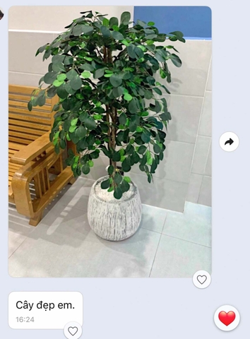 Cây tâm phúc trang trí nhà đẹp Lan Decor (125cm) - LC2240